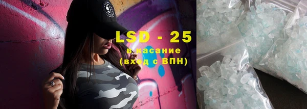 PSILOCYBIN Белокуриха