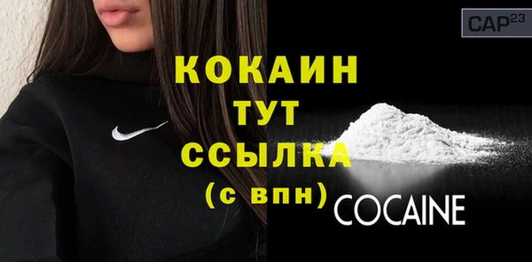 PSILOCYBIN Белокуриха