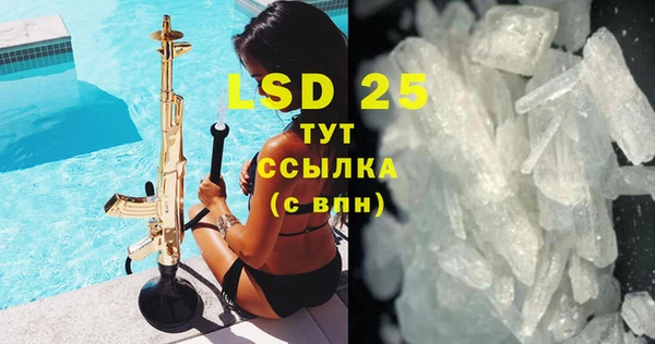 PSILOCYBIN Белокуриха