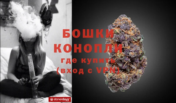 PSILOCYBIN Белокуриха