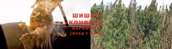 индика Белоозёрский