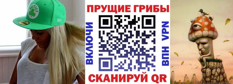 Купить закладки  Лангепас  Псилоцибиновые грибы Psilocybe 